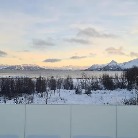 Utsikten