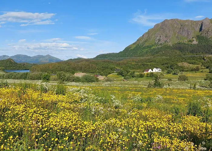 Utsikten *